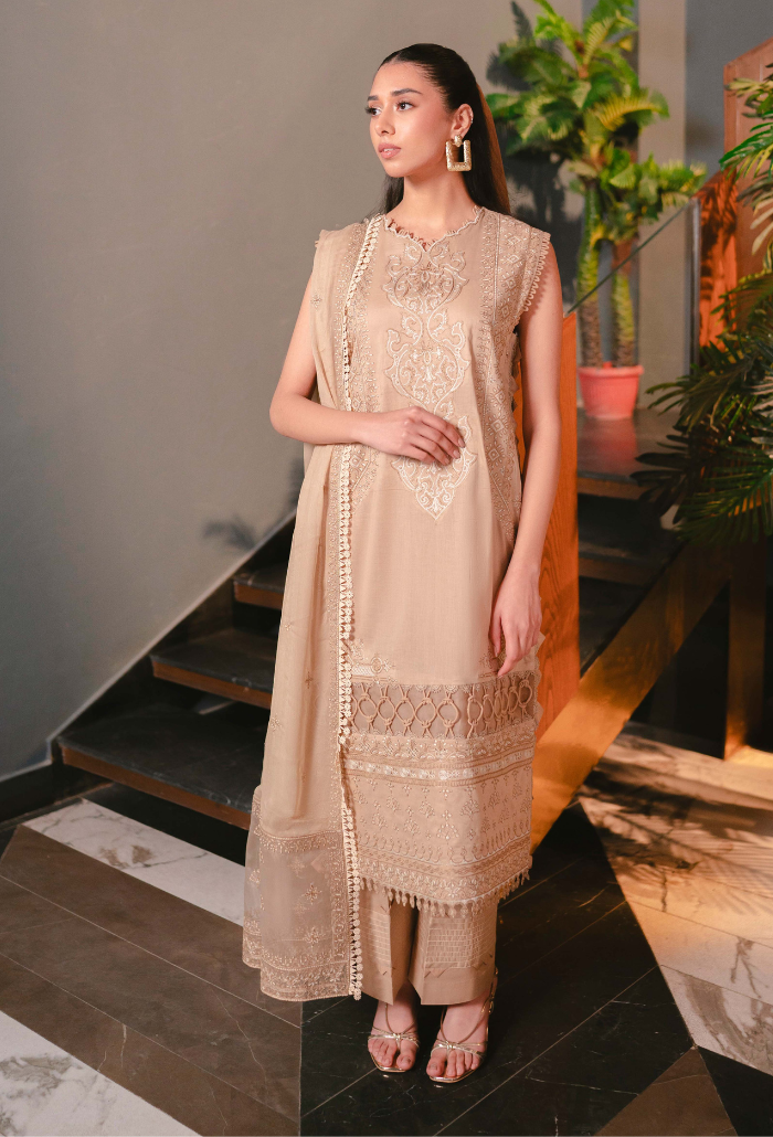 Meraki - Lawn'24 - D10