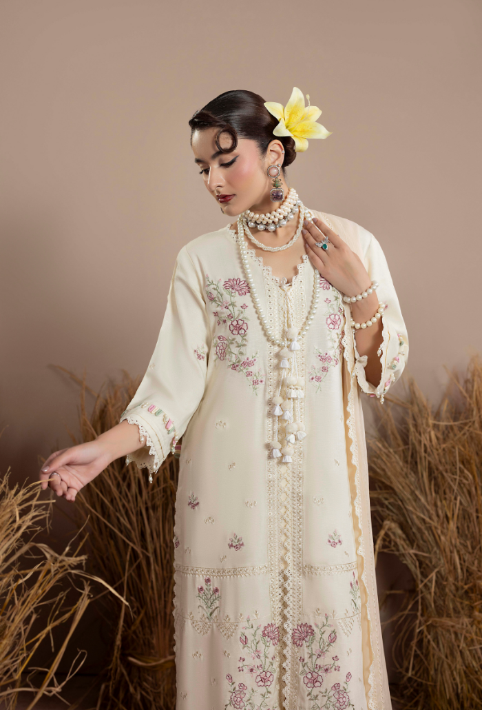 Mushak'26 - D02