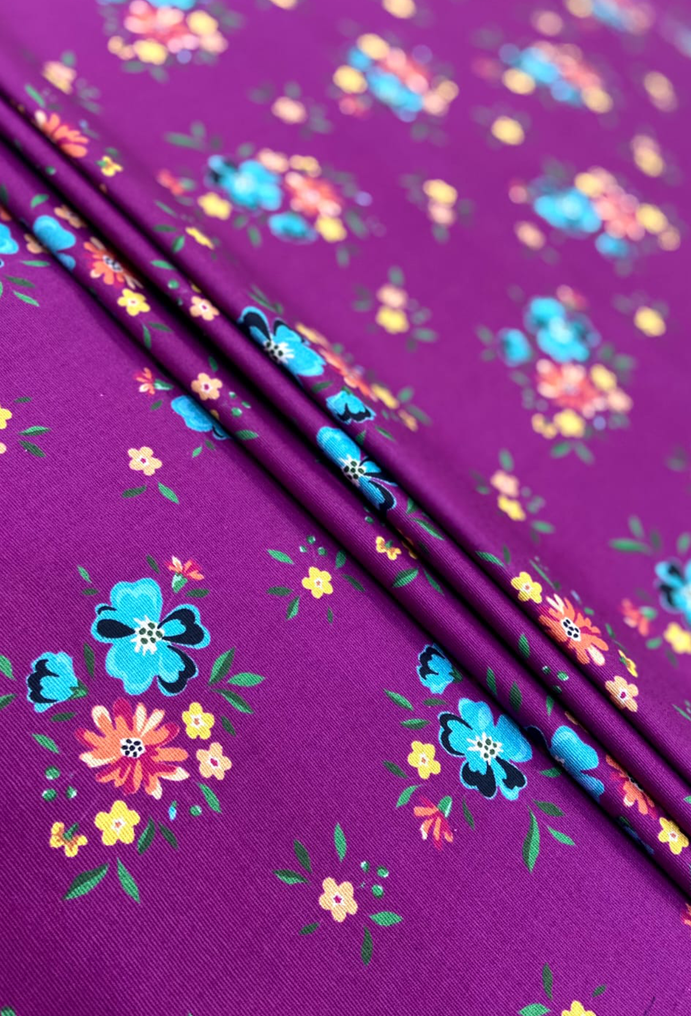 Printed khaddar 2pc-D13