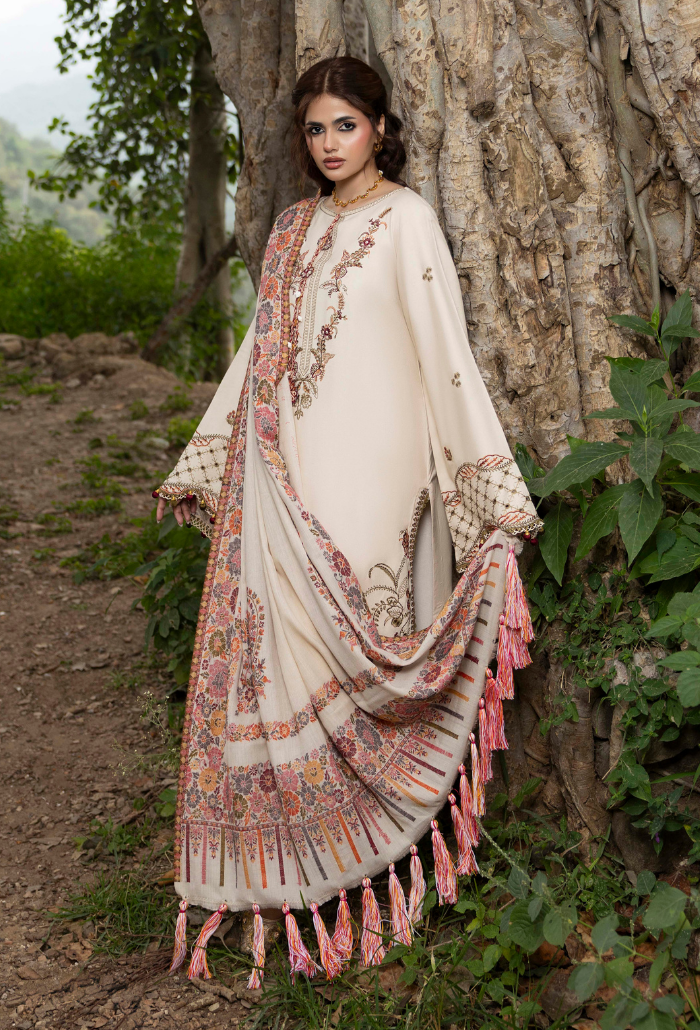 Zimal'26 - D02