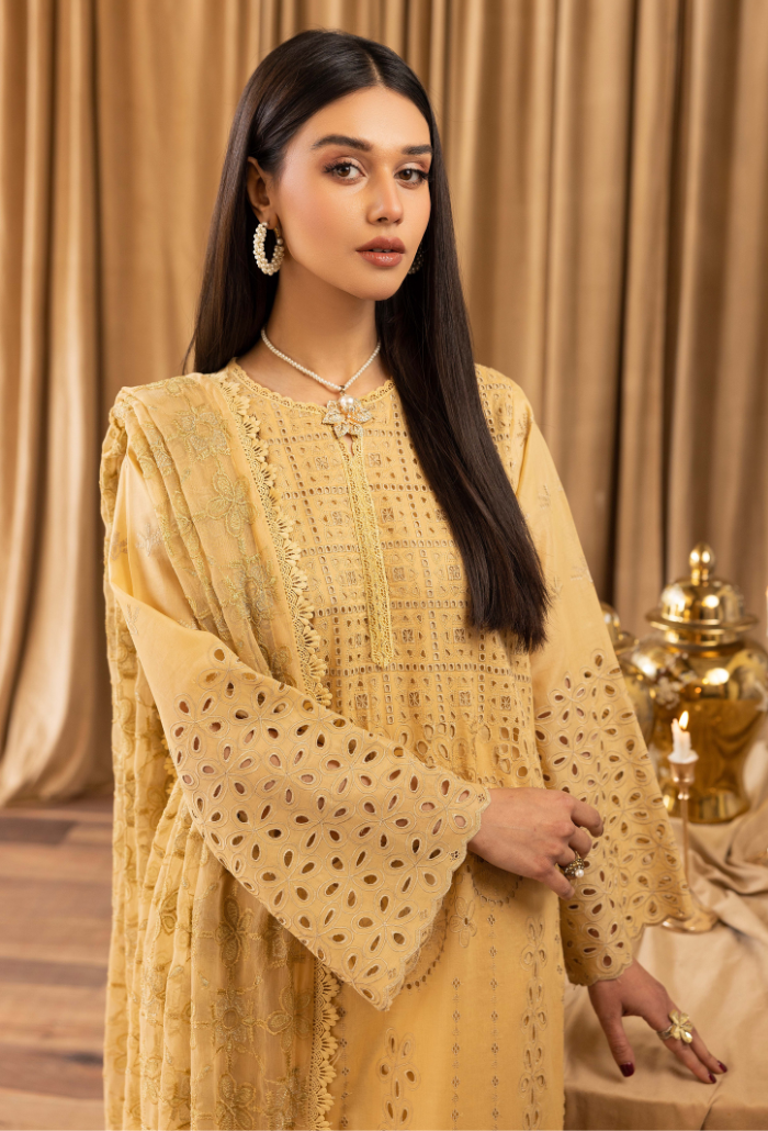 Elegant Chikankari - D02