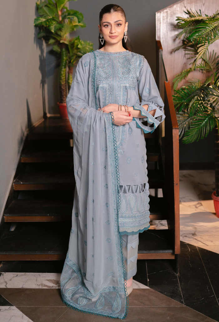 Meraki - Lawn'24 - D05