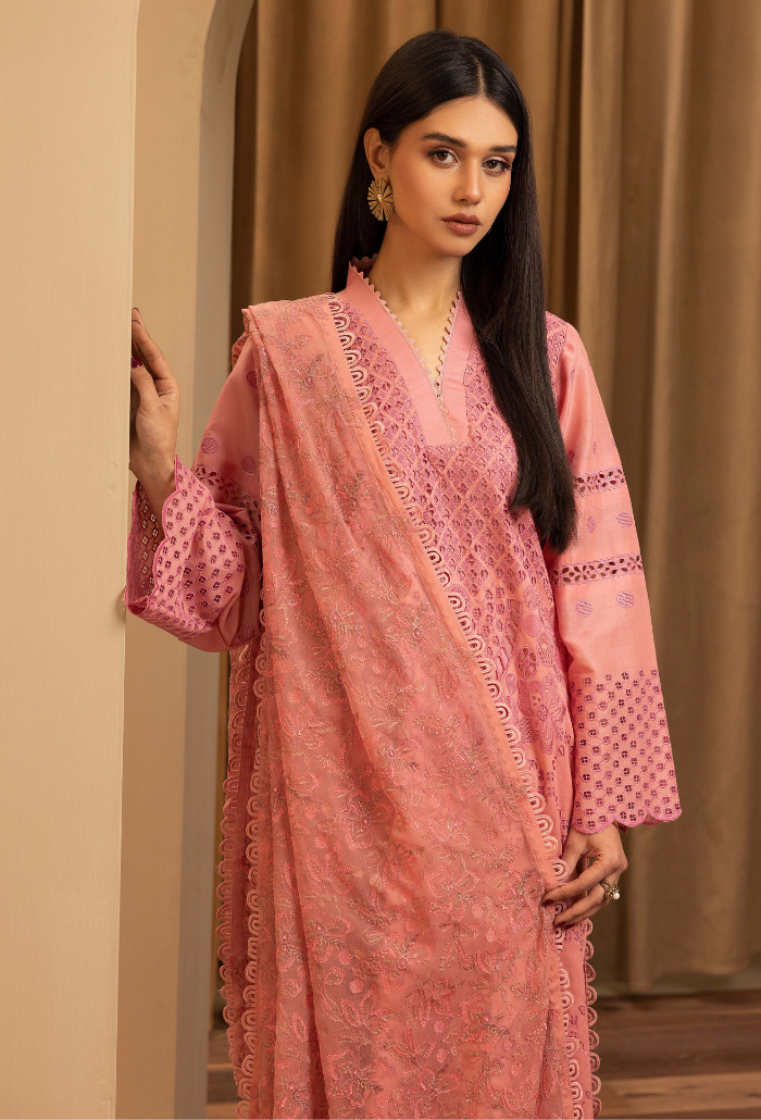 Elegant Chikankari - D03