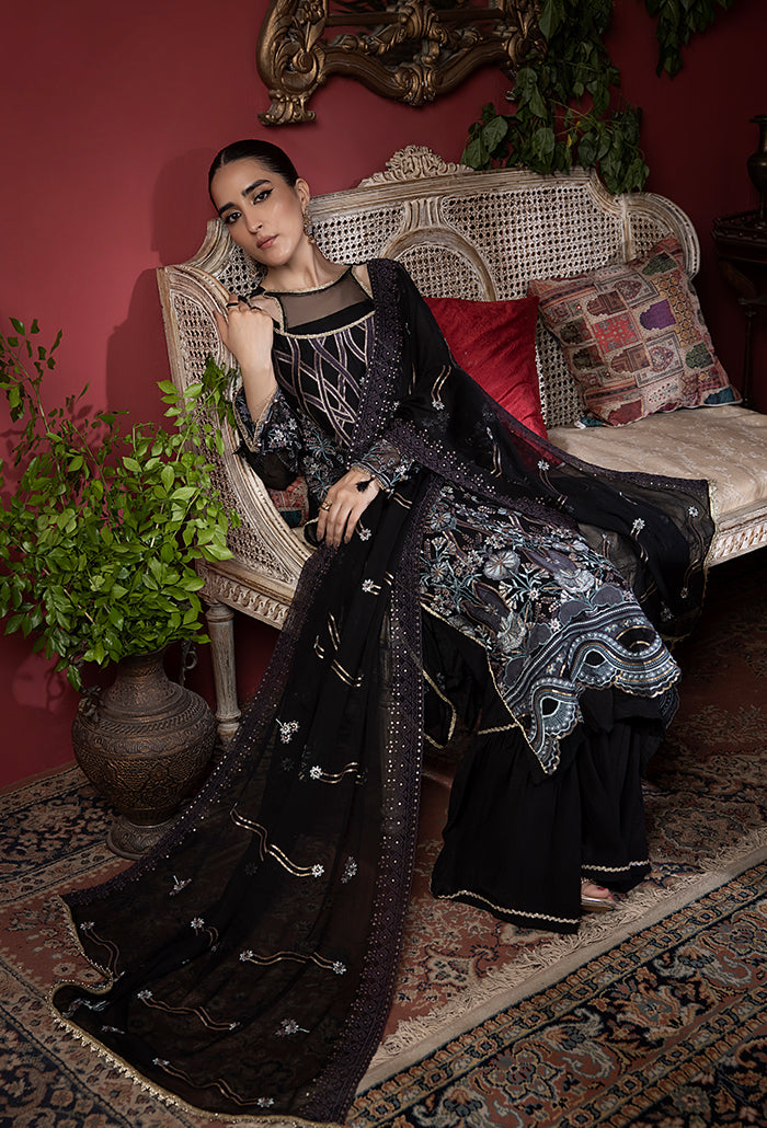 Heer embroidery chiffon collection-HR-01